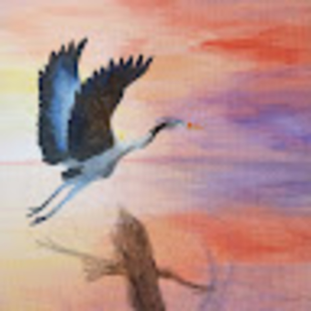 Meet your Posher, Katelyn